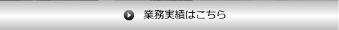 業務実績ボタン